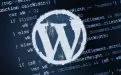 WordPress获取指定文章所有自定义字段函数get_post_custom()