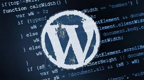 WordPress获取指定文章所有自定义字段函数get_post_custom()