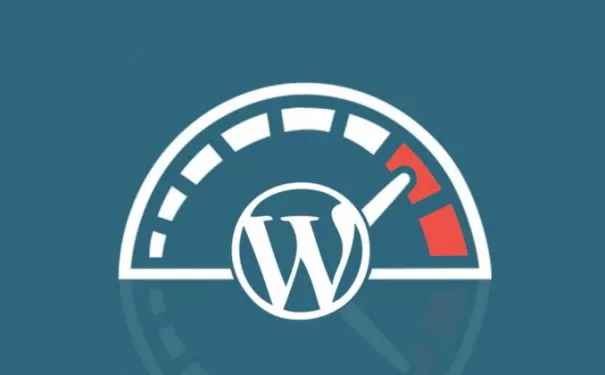 WordPress主题开发中如何给长文章的内容进行分页