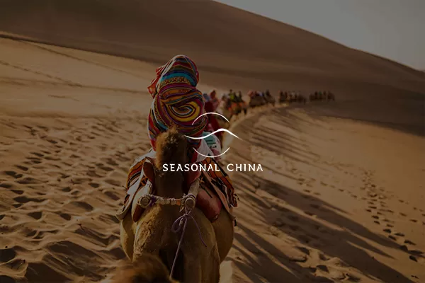 WP双语旅游网站主题定制