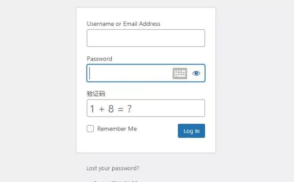 如何给WordPress登录页面添加验证码等自定义表单项